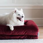 Rosie Lounger, Merlot - Image 3