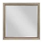 West Fork Parks Mirror