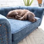 Tuscon Sofa, Blue - Image 3