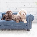 Tuscon Sofa, Blue - Image 4