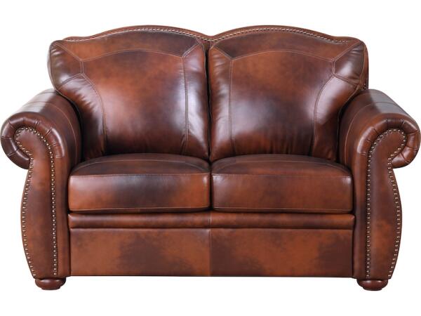 Arizona Loveseat - Image 2