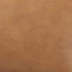 Newport Camel Loveseat - Image 4